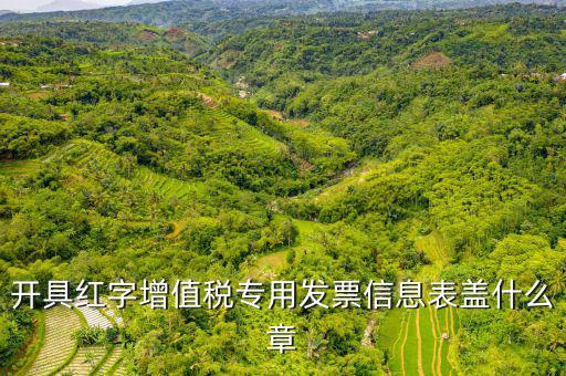 發(fā)票章什么樣子，開具紅字增值稅專用發(fā)票信息表蓋什么章