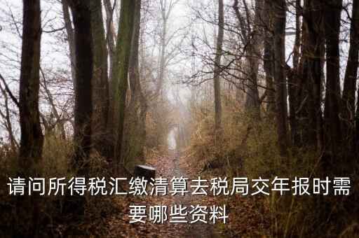 公司稅務(wù)年報需要什么，問企業(yè)所得稅年報怎么報需要什么資料