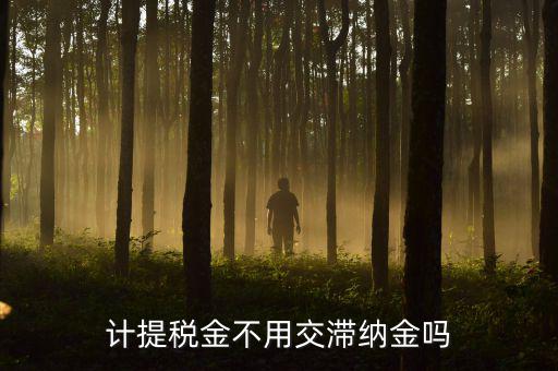 什么稅沒有滯納金，各種稅的滯納金一樣么
