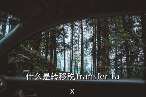什么是跨地區(qū)稅收轉(zhuǎn)移企業(yè)，什么是轉(zhuǎn)移稅Transfer Tax