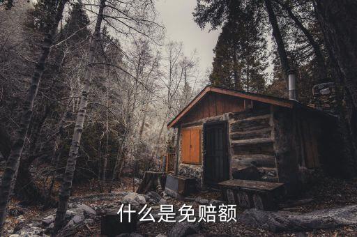 什么是免抵調庫，什么叫保險理賠免調查件