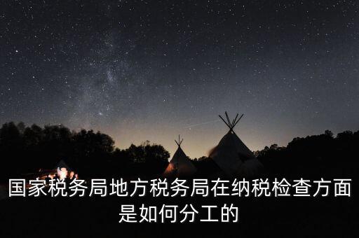 地方稅務(wù)局一案雙查是什么意思，國(guó)稅局一二稽查大隊(duì)是何意思