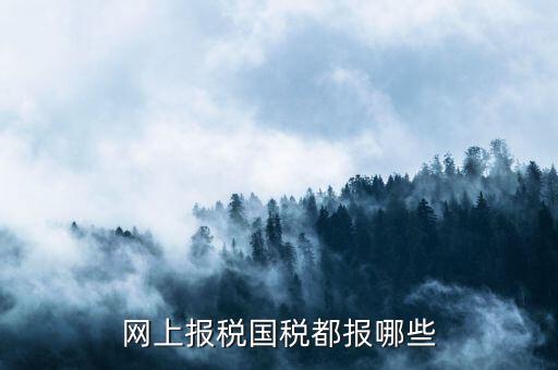 國(guó)稅申報(bào)什么，國(guó)稅局是報(bào)什么稅