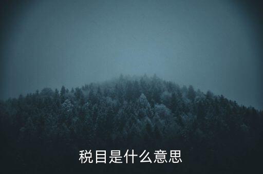 增值稅稅目是什么，增值稅是什么稅是什么