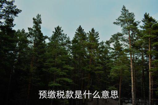已預繳稅費指什么，預繳稅款是什么意思