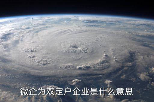 微企為雙定戶(hù)企業(yè)是什么意思