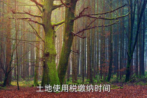 耕地占用稅什么時(shí)候交，土地契稅什么時(shí)候交