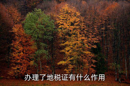 地稅局作用是什么，地稅局給我們帶來了哪些好處