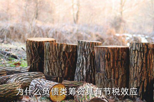 什么是節(jié)稅，為什么負(fù)債類籌資具有節(jié)稅效應(yīng)