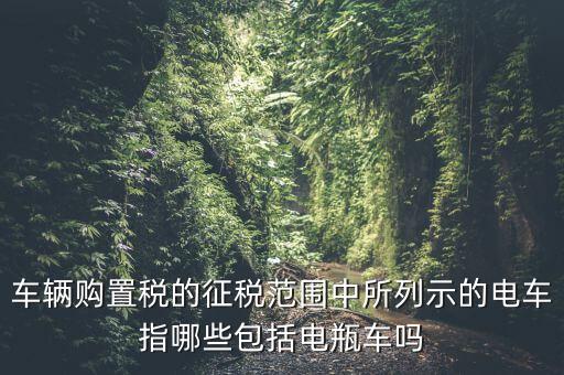 有軌電車征收什么稅，車輛購(gòu)置稅的征稅范圍中所列示的電車指哪些包括電瓶車嗎
