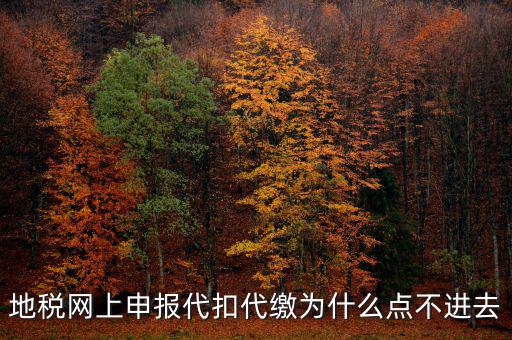 地稅從租計(jì)征為什么無法點(diǎn)開，地稅網(wǎng)上申報(bào)代扣代繳為什么點(diǎn)不進(jìn)去