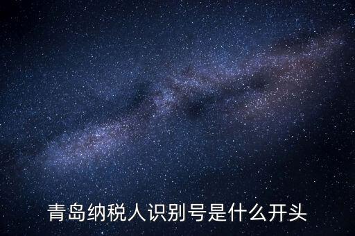 納稅人識別號什么開頭，納稅人識別號330100開頭的是哪個地方的