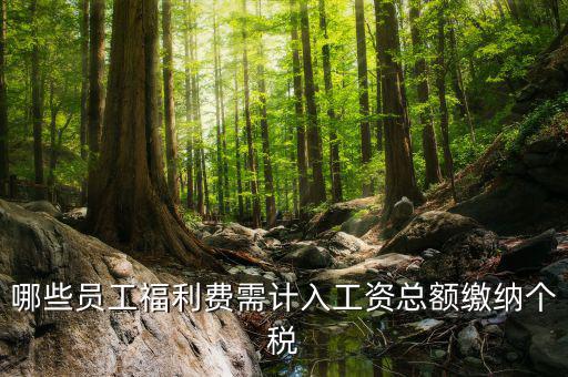什么樣的福利費(fèi)要交個(gè)稅，什么樣的福利費(fèi)不需要交納個(gè)人所得稅呢