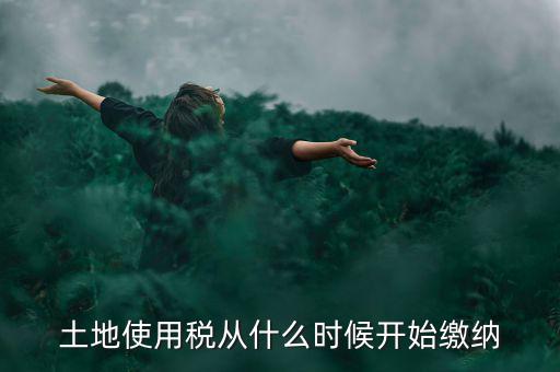 城鎮(zhèn)土地使用稅什么時候交，房地產(chǎn)開發(fā)企業(yè)繳納城鎮(zhèn)土地使用稅的時間是多久