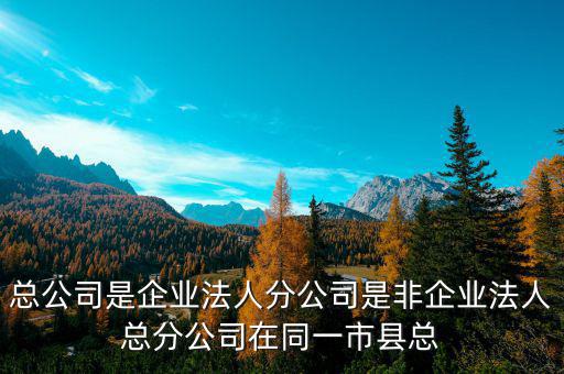 非總分機構(gòu)是什么，納稅人基本情況表沒有總分機構(gòu)總機構(gòu)名稱等還要不要填