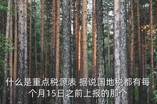 稅源監(jiān)控表是什么，股東股權(quán)變更稅源監(jiān)控登記表怎么填寫