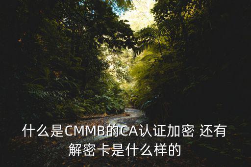 東莞ca證書密碼是什么意思，機構(gòu)代碼的ca證書的PIN碼是什么我用CA證書登陸國稅時提示詳細(xì)