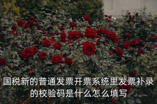 國(guó)稅新的普通發(fā)票開(kāi)票系統(tǒng)里發(fā)票補(bǔ)錄的校驗(yàn)碼是什么怎么填寫