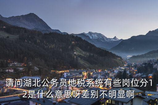 地稅上線是什么意思，0801國稅地稅啥意思