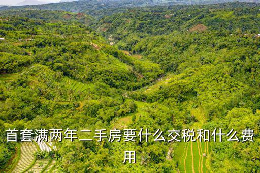 賣滿2年的房子交什么稅，商品房滿2年了出售的話需要交哪些稅詳細點