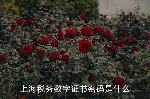 稅務(wù)數(shù)字證書密碼是什么，稅務(wù)密鑰是什么東西是數(shù)字證書嗎