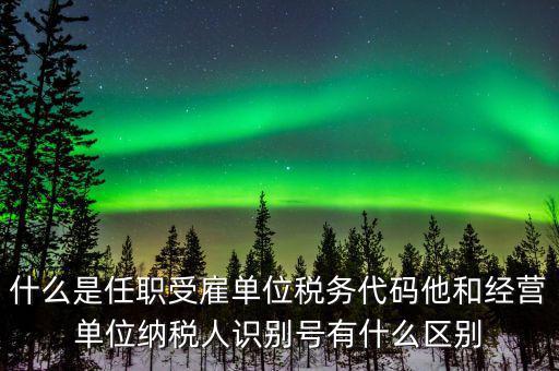 報稅自然人識別號是什么，個稅申報顯示存在相同唯一識別號是什么意思