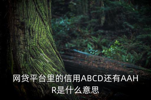 網貸平臺里的信用ABCD還有AAHR是什么意思