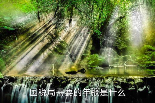 什么是稅務(wù)局年報(bào)，國(guó)稅局需要的年報(bào)是什么
