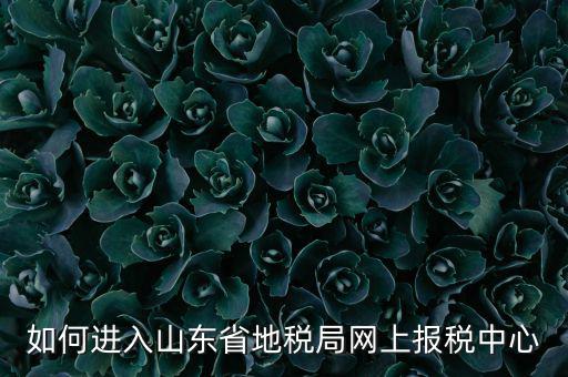 山東地稅密碼是什么，我在山東地稅網(wǎng)上報稅密碼怎么查