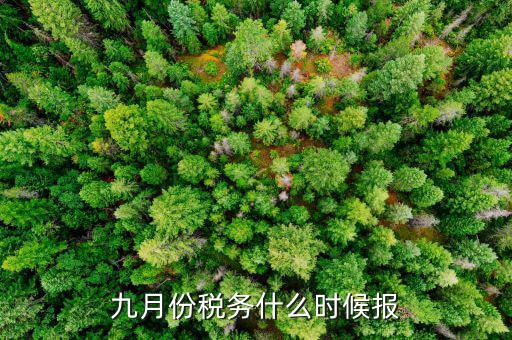 2017年9月份的稅什么報完，誰知道今年9月的個人所得稅怎么報怎么來計算的