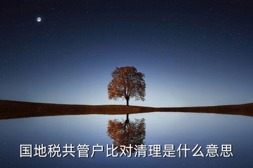 什么是國地稅共管，國稅地稅共管公司都需要每個月報稅嗎意思就是說我每個月地稅