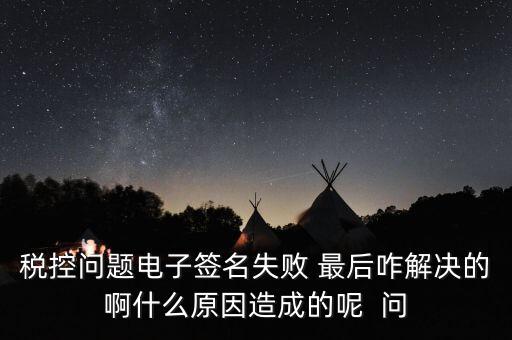什么是稅控簽名，報(bào)稅時(shí)數(shù)字簽名是甚么意思