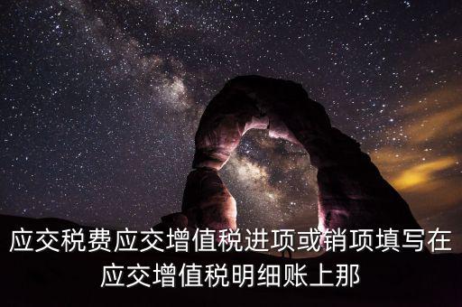 扣繳稅款登記填什么稅，在個人所得稅代扣代繳軟件中所要填寫的稅務登記號是填國稅的還是地