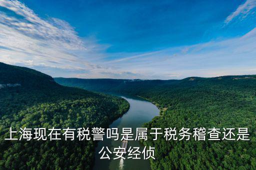 稅警機(jī)制辦公室干什么，上?，F(xiàn)在有稅警嗎是屬于稅務(wù)稽查還是公安經(jīng)偵