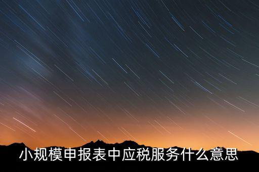 納稅服務(wù)是指什么意思，納稅服務(wù)股具體是做什么啊
