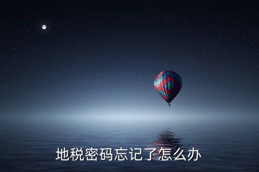 重置地稅密碼需要什么影響，地稅網(wǎng)上納稅申報(bào)密碼忘記了