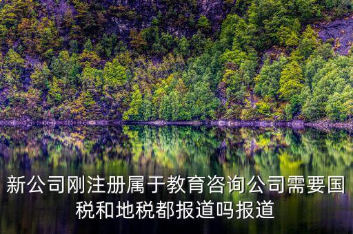 教育咨詢納什么稅，請問從教育事業(yè)的公司要納稅嗎
