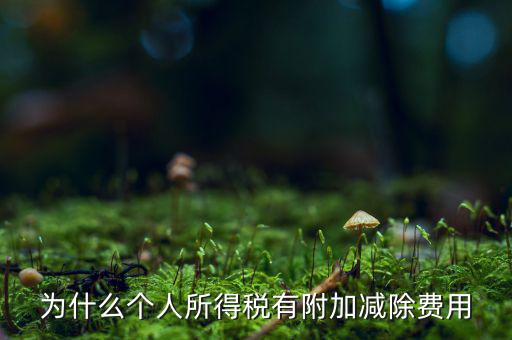 個稅減除費用是什么，個人所得稅費用扣除什么意思
