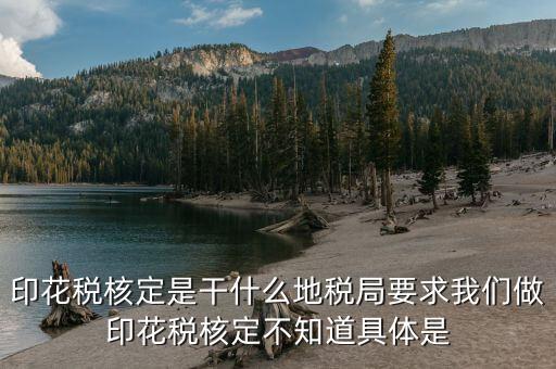 印花稅核定依據(jù)填什么意思，核定征收印花稅計稅依據(jù)
