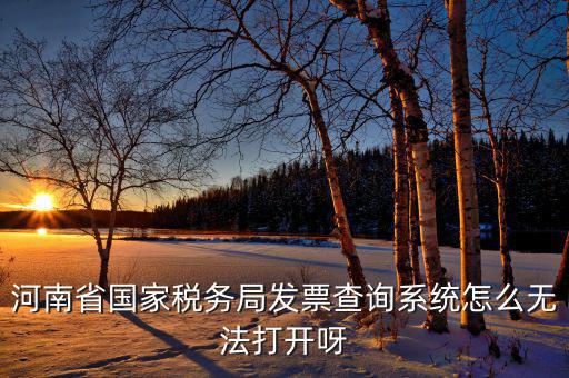 河南一體化辦稅為什么辦不成，河南省國(guó)家稅務(wù)局發(fā)票查詢系統(tǒng)怎么無法打開呀