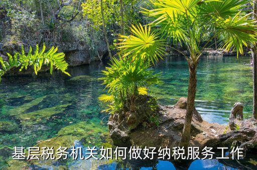 納稅服務(wù)是指什么，納稅服務(wù)的三個(gè)主體是什么