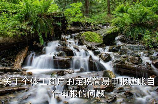 關(guān)于個(gè)體工商戶(hù)的定稅簡(jiǎn)易申報(bào)建賬自行申報(bào)的問(wèn)題