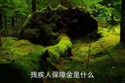 什么叫殘疾人就業(yè)保障金，殘疾人就業(yè)保障金