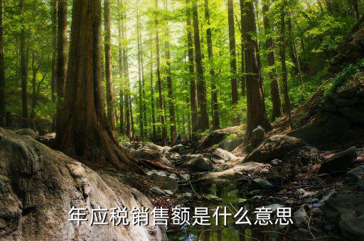 納稅人銷售額指什么，年應稅銷售額是什么意思