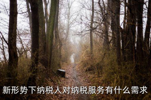 納稅服務(wù)的要求是什么，新形勢(shì)下納稅人對(duì)納稅服務(wù)有什么需求