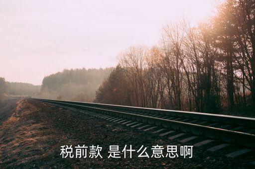 什么是稅前項目費，稅前款 是什么意思啊