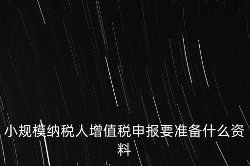 小規(guī)模報稅需要帶什么，小規(guī)模納稅人增值稅申報要準備什么資料