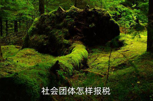 社會團體應(yīng)交什么稅，社會團體納稅問題