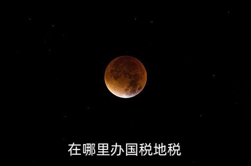 什么在地稅辦，在哪里辦國(guó)稅地稅
