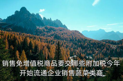 免稅商品銷(xiāo)售要交什么稅，銷(xiāo)售免增值稅商品要交哪些附加稅今年開(kāi)始流通企業(yè)銷(xiāo)售蔬菜類(lèi)商